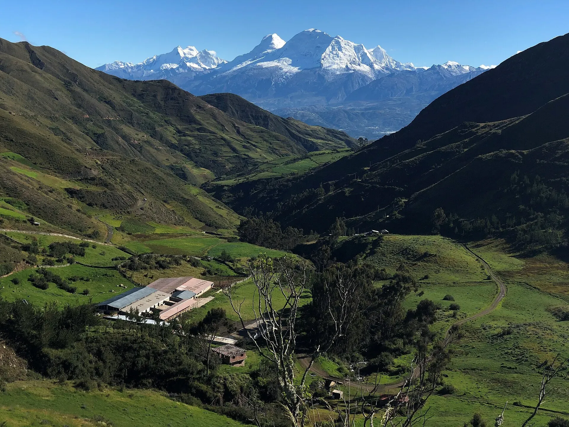 Adventure in the Peruvian Andes